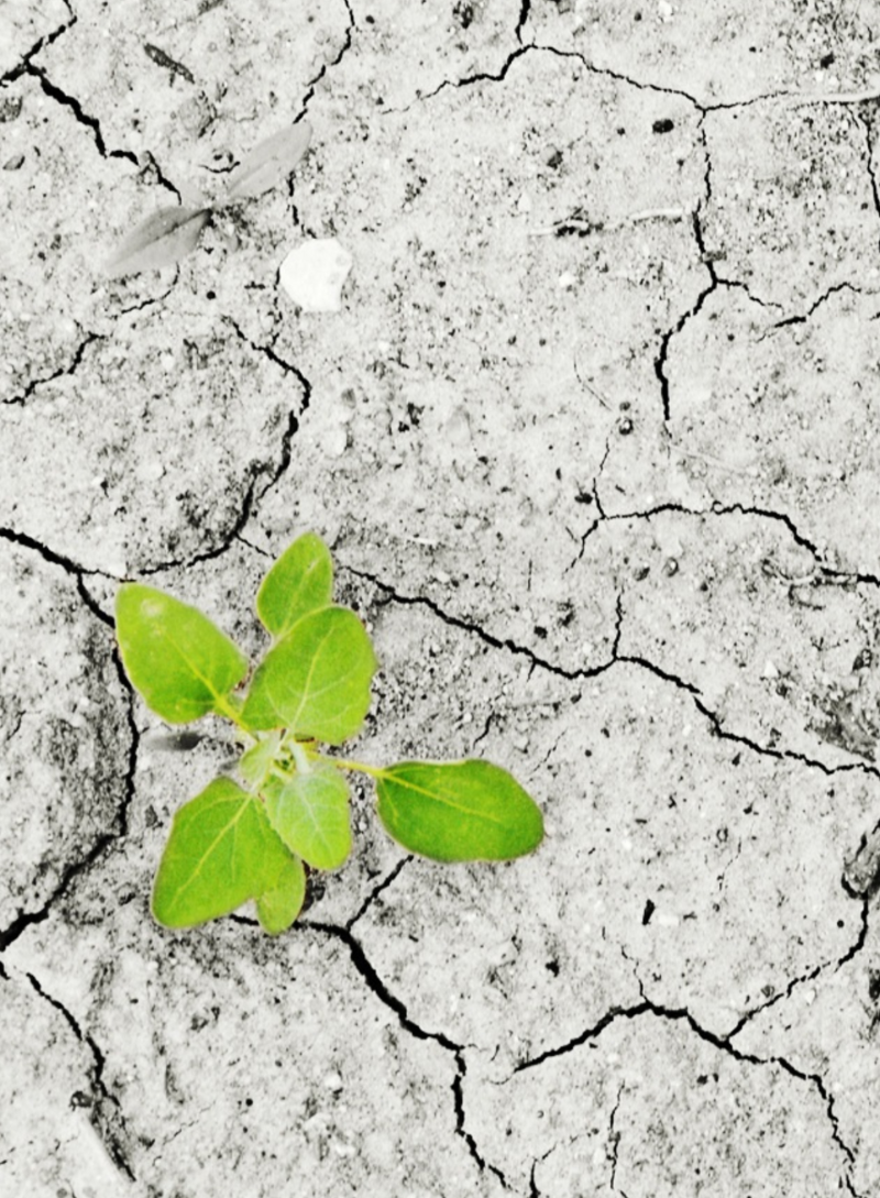 Praktijk Linda Couwenberg - Coaching