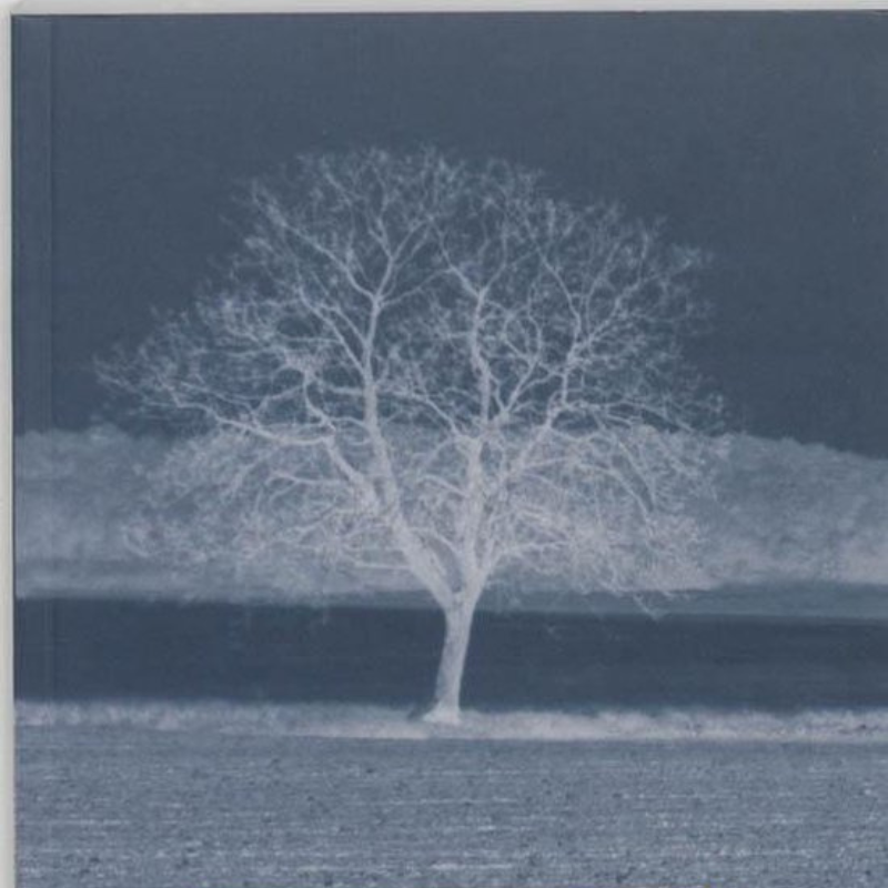 Dit is een afbeelding van een boom op de boekomslag van grondbeginselen van de contextuele benadering van Nagy of Ivan Boszormenyi Nagy, een manier van coachen met een systemische manier van werken (systemisch werk en opstellingen)